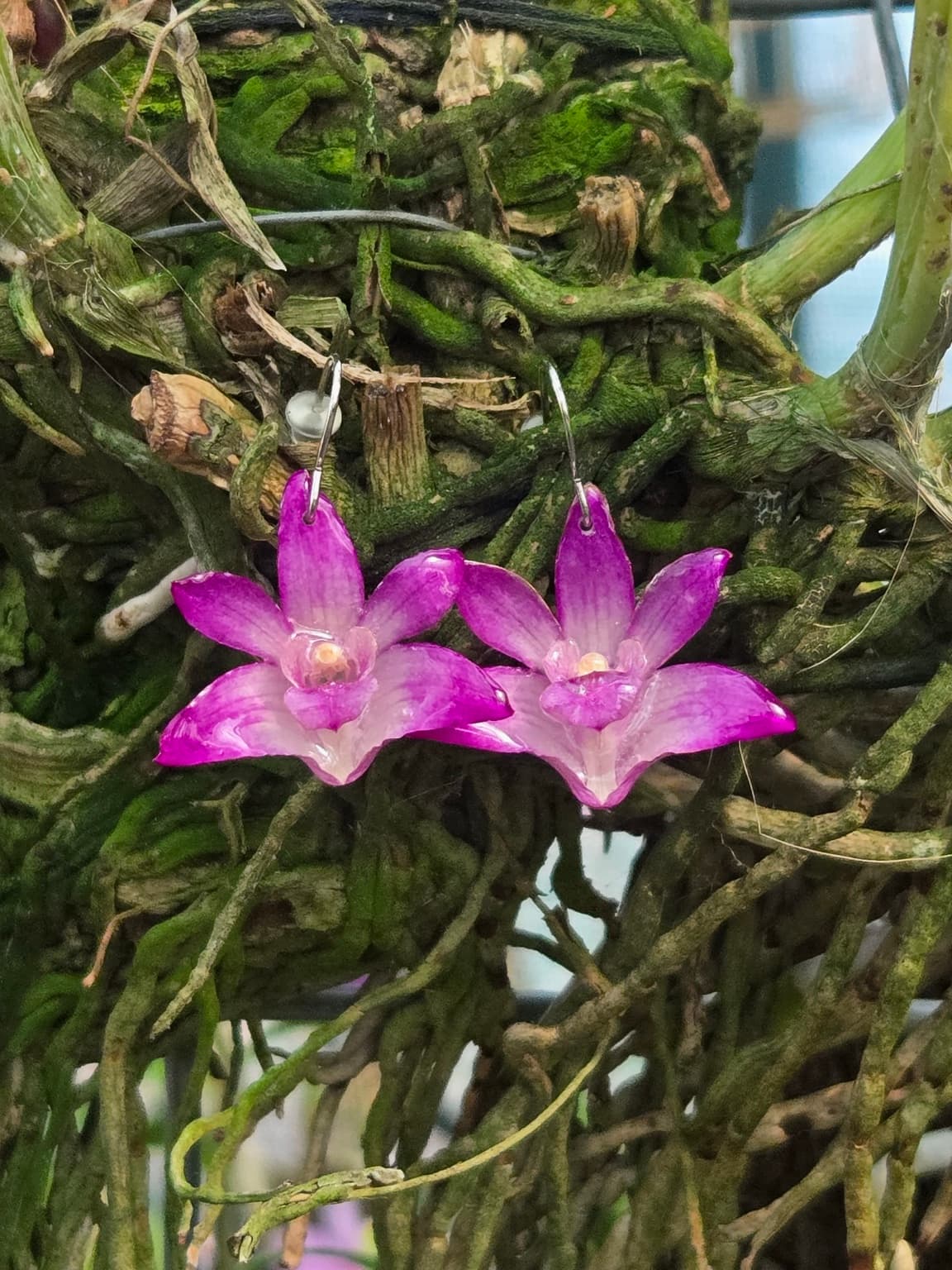Joia botânica artesanal — Brincos Dendrobium Berry ‘Oda’ Violeta (Dendrobium Berry ‘Oda’) — Eternal Flowers. Flor natural preservada em resina.
